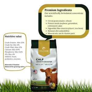 Potenciador del Crecimiento de Terneros 50kg – Alimento Avanzado para <span class=keywords><strong>Ganado</strong></span> para Huesos Fuertes y Desarrollo Rápido - Product Image 2