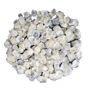 ESCALA DE PESCADO TILAPIA SECA DE CALIDAD SUPERIOR/ESCALA DE PESCADO LATINAE PRECIO BARATO AL POR MAYOR DE VIETNAM/ESCALA DE PESCADO OSSEIN - Product Image 2