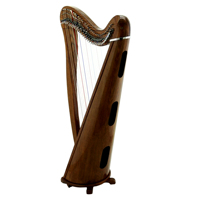 Best Quality Handmade Engraved Harp 30 Strings Black Curved Design RoseWood Materials Customized Color Custom Brand Model