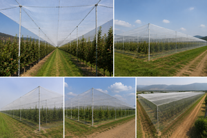 ตาข่ายพลาสติกกันแมลงขนาด 40 เมช สีขาว สำหรับป้องกันพืชผลในโรงเรือนและการปลูกพืชในฟาร์ม - Product Image 6