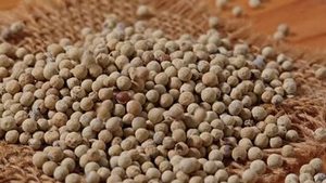 Poivre Blanc Entier de Qualité Supérieure de la Nouvelle Récolte du Gujarat, Inde – Grains de Poivre Naturels, Durée de Conservation de 24 Mois pour Achat en Gros d'Épices - Product Image 2