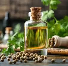 น้ำมันผักชี |   ผักชีลาว (Coriandrum sativum) - Product Image 2