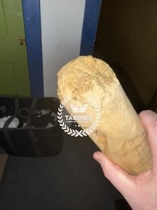 ของเล่นสุนัขเคี้ยวไม้ขนาดกลางเป็นมิตรกับสิ่งแวดล้อมใช้รักษารสชาติกาแฟพรีเมี่ยมสำหรับสุขภาพฟันกล่องฮาโลวีนในร่มแบบเรียบง่าย - Product Image 3