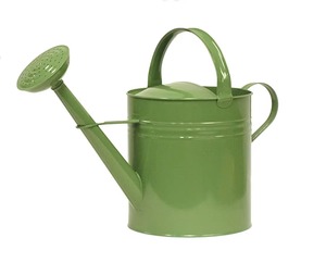 Arrosoir en fer rustique de haute qualité avec poignée en bois, outil de jardinage durable, finition peinte - Product Image 4