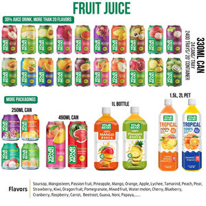 Fabricante y Proveedor Mayorista de Bebidas de Aloe Vera y Piña de 500 ml, Marca Privada OEM ODM - Product Image 3