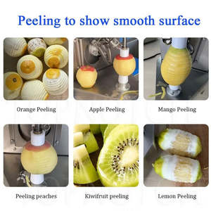 Máquina Eléctrica de Escritorio para Pelar Naranjas, Limones, Cítricos, Kiwis y Otras Frutas - Product Image 2