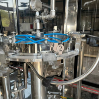 Machine d'embouteillage automatique d'eau pure PET AIM 40BPM 200ml/500ml avec pompe électrique à engrenages et système de remplissage et de bouchage haute précision