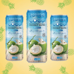 Agua de coco pura 100% 330ml Paquete de 24 COCO JOYCE a base de plantas sin OGM Sin azúcar añadido Muestra gratis OEM India África Estándar DE LA UE - Product Image 2