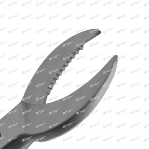 Cortadores de Coral en Forma de Media Luna de Acero Inoxidable de la Mejor Calidad, Herramientas para Acuarios, Herramientas para la Propagación de Corales, Pinzas MSI - Product Image 4