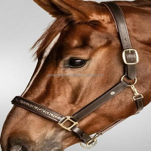 Cuero genuino inglés sillín Halter suave acolchado con diamantes de imitación coloridos cristales Bling cuero personalizado Halter caballo - Product Image 3