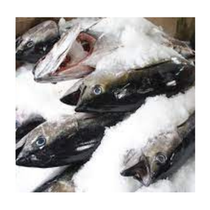 VENDO PESCADO CONGELADO CON GRANDES CANTIDADES DE EXPORTACION A PRECIOS BARATOS DE PROVEEDORES VIETNAMES/Sra. Thi - Product Image 2