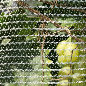 Malla plástica transparente de grado industrial, red antigranizo, rollo de malla plástica extruida, malla plástica de protección contra granizo - Product Image 4