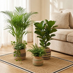 SPICE ROUTE Eco-Friendly Multi-Tone Striped <b>Seagrass</b> <b>Storage</b> <b>Basket</b> & Vase Collection with Handle Multifunction Geometric Design - Product Image 6