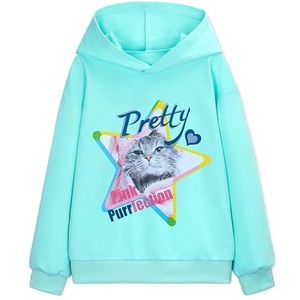 Hoodie kinds 100% Knitted Terry <b>fabrics</b> casual <b>for</b> winter season pull over or front zipper multi color supplier from Bangladesh - Product Image 5