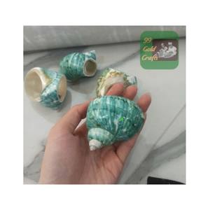 Conchas de Caracol de Mar Grandes, Conchas de Cangrejo Ermitaño Naturales, Conchas de Mar Reales al Tacto, Decoración Navideña y de Playa DIY - Product Image 5