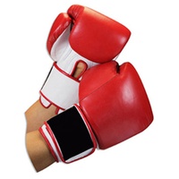 Gants de boxe professionnels en polaire pour entraînement de Muay Thai, hiver, ski, anti-boulochage, pour sparring et sac de frappe