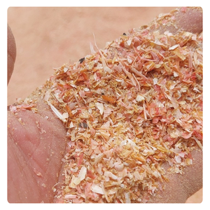 POLVO DE CONCHA DE CAMARÓN DE CALIDAD PREMIUM EXPORTACIÓN DE VIETNAM SUMINISTRO A GRANEL 2024 - Product Image 2