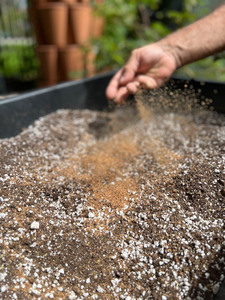 Fertilizante Multiusos Orgánico en Polvo de Karanja para Suelo y Cultivos - Marca Terra Bio Naturals, Fabricante y Exportador de Tamil Nadu - Product Image 3