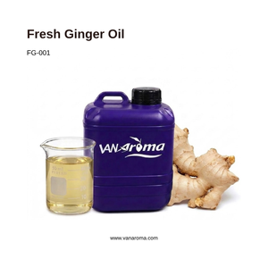 Aceite de Aromaterapia de Jengibre Fresco Premium (FG-001) Van Aroma - Product Image 1