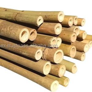 Varas de Bambú Natural Premium de Vietnam - Longitud de 4 a 10 m, Diámetro de 3 a 10 cm, Suministro Directo de Fábrica - Product Image 1