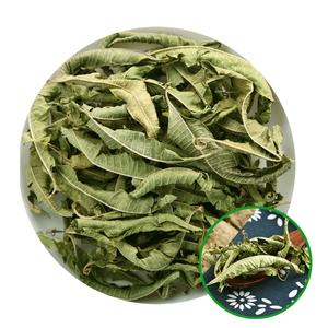 Polvo Fino de Hoja de Guayaba Herbal Seca de Exportación, Oferta para Compradores al por Mayor, Hojas Herbales Secas al Sol, Empacadas en Bolsa de Aluminio, Proveedor de Vietnam - Product Image 1