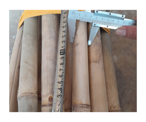 Varas de Bambú Sostenibles para Estacas Agrícolas, Soporte de Construcción, Paisajismo, Origen Vietnam, Varas de Bambú de Gran Tamaño - Product Image 5