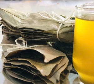 Té de hojas de Graviola de Vietnam, hojas de Guanábana naturales secadas al sol, té de hierbas empaquetado a granel para OEM y exportación - Product Image 5