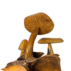 La escultura de hongos de madera aporta encanto forestal a tu espacio, fusionando la belleza orgánica con detalles artesanales. - Product Image 4