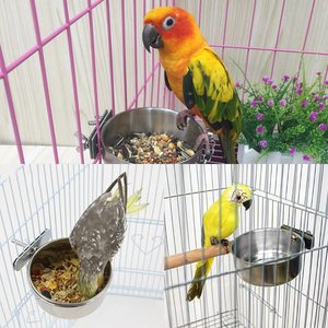 Portable Stainless Steel <b>Bird</b> Feeding Dish Water Food Bowl Coop Cups with Clamp Holder for Parrots and Other Animals - Product Image 4
