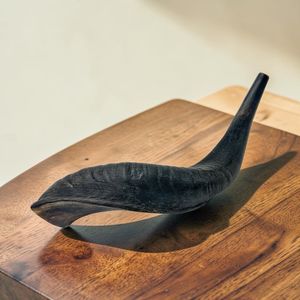 Shofar en corne de bélier naturelle polie, véritable, écologique, souvenir religieux juif, toucher réel, décoration d'intérieur, vente en gros - Product Image 2