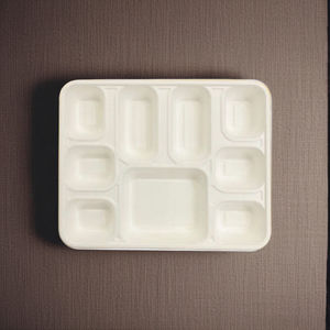 Bandejas de Comida Cuadradas de 9 Compartimentos de Bagazo para Servir Alimentos Naturales al por Mayor, Ideales para Fiestas y Picnics - Product Image 2
