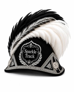 Professional Hackles Best Selling Premium Feather Collection with Custom Branding OEM Service Wholesale Manufacturer Solutions - Product Image 1