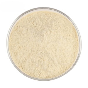 Polvo de Almendras 100% Natural de Grado Alimenticio, Polvo de Frutos Secos Premium para Smoothies, Repostería e Ingredientes Alimenticios, OEM, ODM, Venta al Por Mayor, Suministro a Granel - Product Image 3