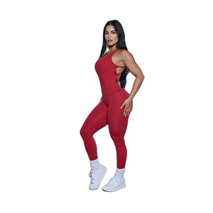 Novedad de 2024, conjunto de Yoga cómodo y ligero Sexy para mujer, trajes deportivos transpirables para Fitness, conjunto de Yoga de entrenamiento sin costuras - Product Image 1