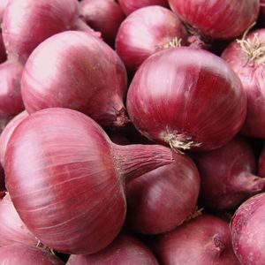 Oignon rouge frais 100% naturel, fraîchement récolté sur des fermes certifiées, assurant une saveur riche et une texture ferme supérieure, destiné à l'exportation - Product Image 4