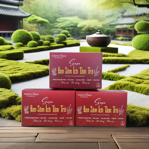 Organic Blended Dan Shen Radix Salviae Miltiorrhizae Bolsas de té de hierbas Apoya la salud cardiovascular Precio barato Embalaje a granel - Product Image 4