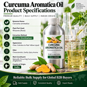 Aceite de Cúrcuma Aromática, Exportador a Granel, Fabricante Mayorista y Proveedor Internacional de Aceite Esencial de Cúrcuma Silvestre - Product Image 2