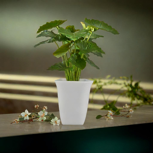 Maceta cilíndrica de plástico para plantas de jardinería, fuerte, duradera, ligera, fácil de limpiar, adecuada para hierbas, flores y plantas de interior - Product Image 5