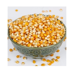 ข้าวโพดเหลืองธรรมชาติจากโรงงาน ส่งออกโดยตรง - Product Image 3