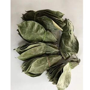 Feuilles de corossol séchées naturelles de qualité supérieure, thé aux herbes, vente en gros - Product Image 2