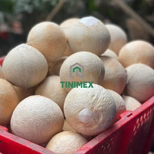 Noix de coco polie fraîche Vietnam pour le marché du Moyen-Orient - Product Image 1