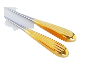 Offre Spéciale 17 cm Orthopédique Chirurgie Osseuse Curette Poignée Creuse Manuel Puissance Base Base Instruments Chirurgicaux Instruments Chirurgicaux - Product Image 4