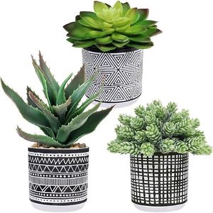 Ensemble de 3 succulentes artificielles en pot assorties Winlyn, arrangement de plantes vertes pour la décoration de la maison - Product Image 1