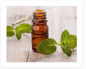 Aceite de Bergamota y Menta Premium para la Elaboración de Perfumes y Mezclas de Fragancias en Oferta por Exportador - Product Image 3
