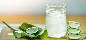 วุ้นว่านหางจระเข้ชั้นนำของเวียดนาม: ส่งออกจำนวนมากในราคาต่ำ - Product Image 6