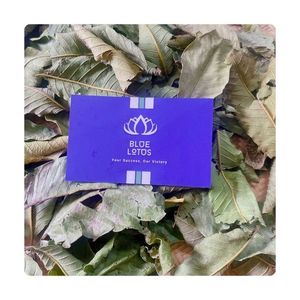 BEST SELLER Feuilles de thé de goyave pour mélange de sachets de thé et service de boissons de bienvenue pour hôtels et spas, en carton de transport - Product Image 6