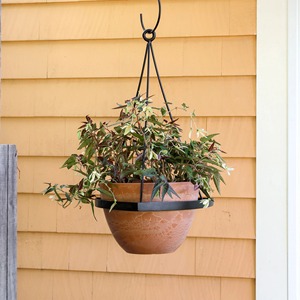 Jardinière suspendue en métal rustique, style vintage, avec chaîne, pour fleurs et plantes vertes, montage mural - Product Image 4