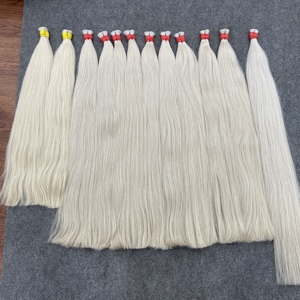 Extensiones de Cabello Humano Vietnamita de Lujo al por Mayor, Cabello Natural Liso Rubio a Granel para Trenzas, Cabello Blanco - Product Image 3