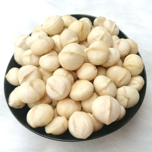 [Échantillon gratuit] 100% noyau entier de macadamia S1A taille 13-17mm aliments sains prêts à être expédiés depuis la manufacture Lam Dong Vietnam - Product Image 2