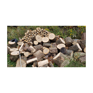 Bois de frêne de haute qualité en vrac à vendre à des prix compétitifs - Product Image 5